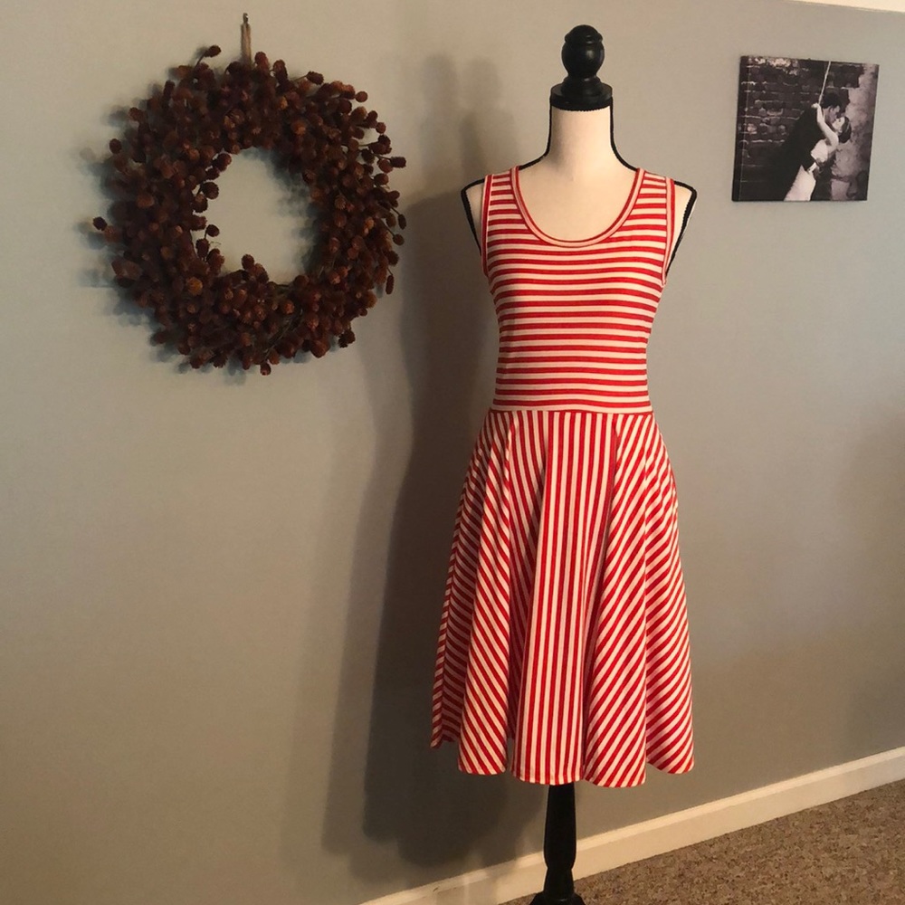 LuLaRoe Nicki Dress- runs small!